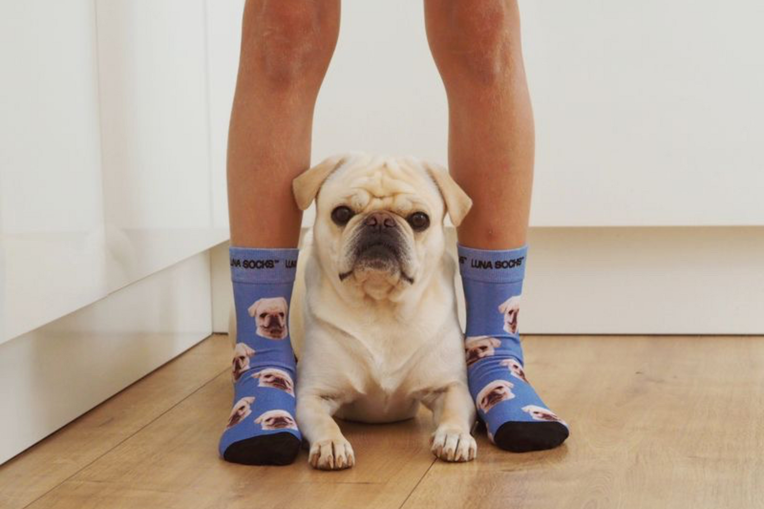El regalo perfecto para los amantes de los perros: calcetines personal